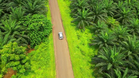 aerial view from a road with cars on a road surronded from palm trees and green forest in sao tome,africa
