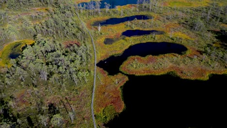 aerial view of a beautiful bog landscape