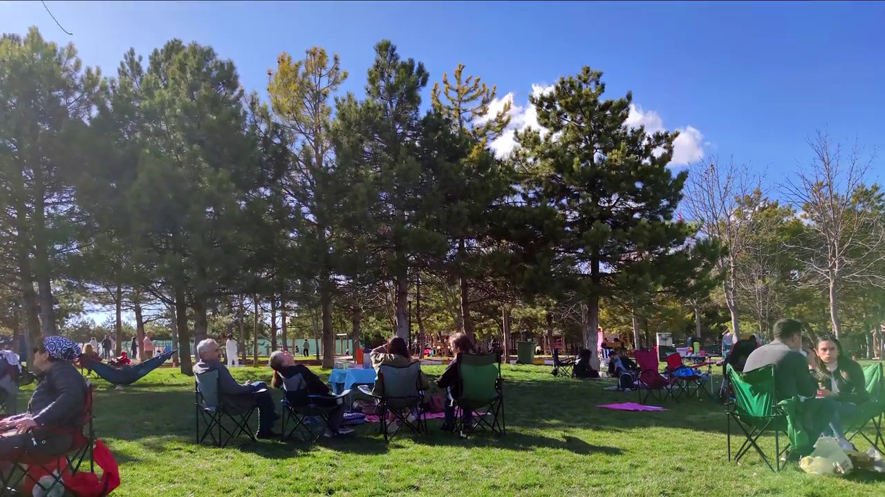 Group of People Relaxing and Socializing in a Sunny Public Park