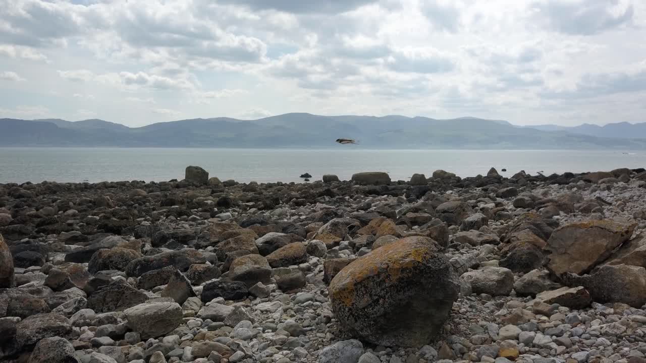 이상한 소름 끼치는 화성 산맥 바위 같은 외계인 돌 해변 해안선 천천히 앞으로