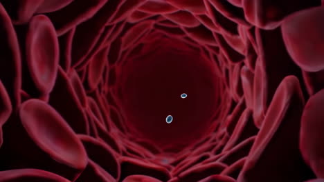 bacteria in a blood vessel