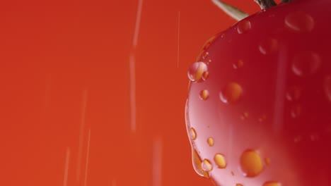water droplets on a red tomato