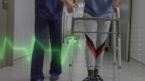 animation of vital signs monitor over diverse female doctor and male patient using walking frame