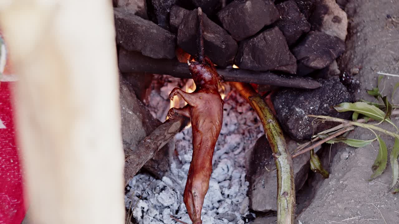 Willoq cuy, porcellino d'India cotto su fuoco a carbone - 4k.