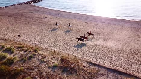 aerial follwowing showing group of equestrian riding horses at sandy beach along coast of france during sunset