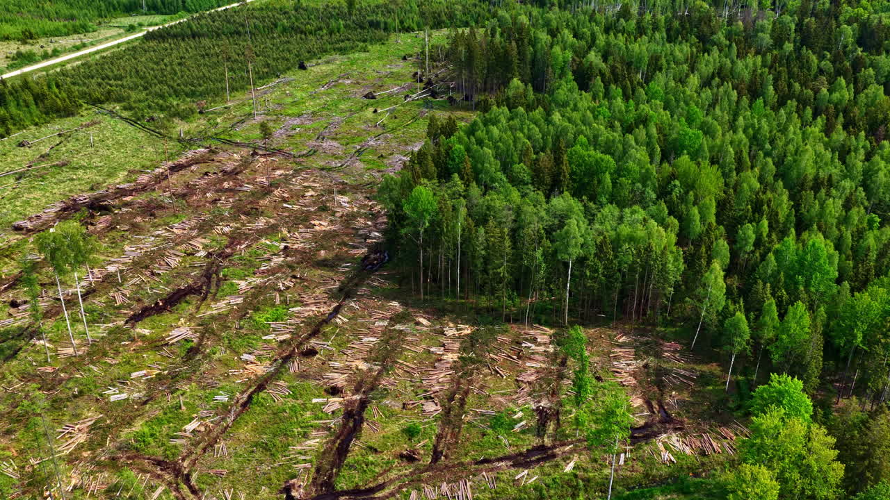 Deforested area with remaining tree patches and visible soil tracks across terrain