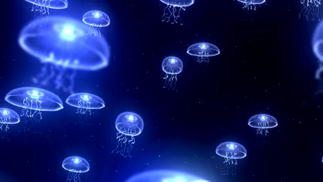 jellyfish illuminated with color light in the underwater, cg animation, loop