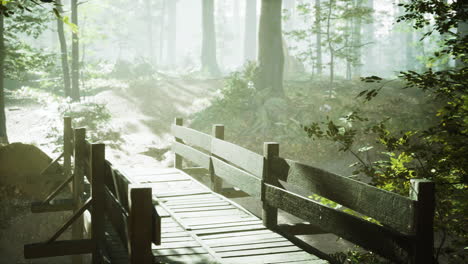 old wooden bridge over a small stream in a park