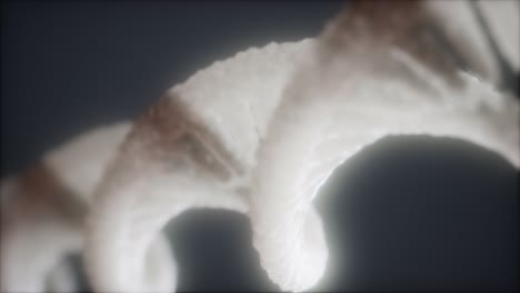animación de primer plano de la estructura helicoidal de doble bucle de la hebra de adn