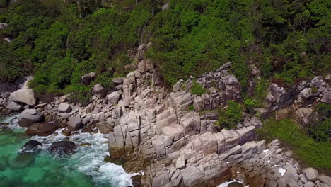 rocks overgrown with tropical rainforest