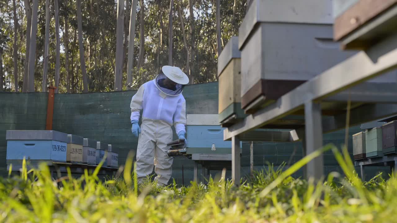 ⁇ 벌집 에서  ⁇ 벌 흡연기 를 사용하는  ⁇ 벌 키우는 사람