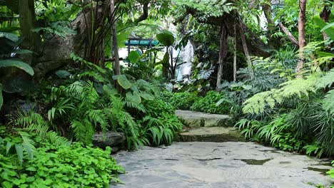 vegetación exuberante a lo largo de un camino tranquilo del bosque