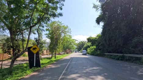 scenic drive past market stalls and greenery