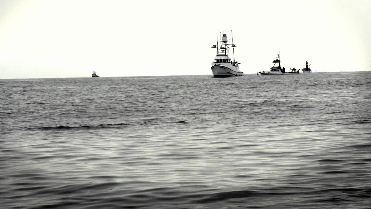 한 무리의 배들이 바다에 함께 앉아 있다