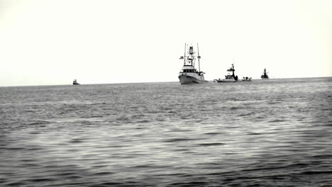 a group of boats sit together in the ocean