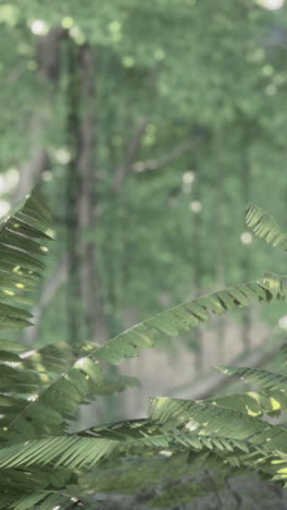 lush green forest with sunlight filtering through the leaves