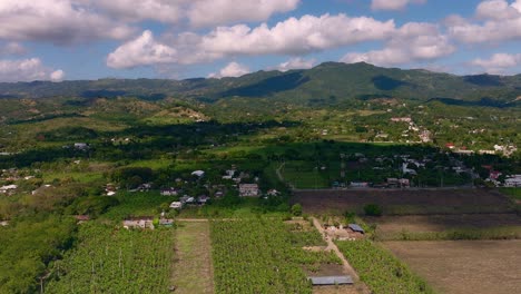 cultivated fields in moca countryside, cibao region in dominican republic