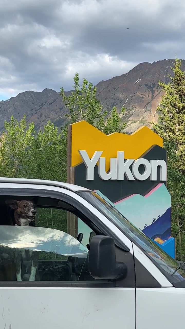 Cane che guarda fuori dal finestrino di un camper accanto al cartello di benvenuto del territorio dello Yukon in Canada