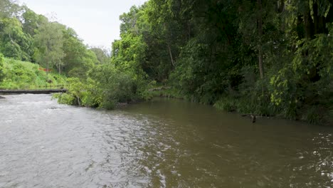 un río tranquilo rodeado de exuberante vegetación