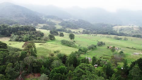 Vista-Aérea-De-Retroceso-De-Campos-Verdes-Con-Densos-árboles-Frente-A-Colinas