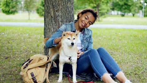 pretty mixed race girl is petting cute shiba inu dog and talking to it with tenderness resting in park at weekend. friendship between humans and animals concept.