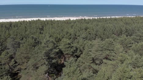 aerial view of forest at shore of baltic sea