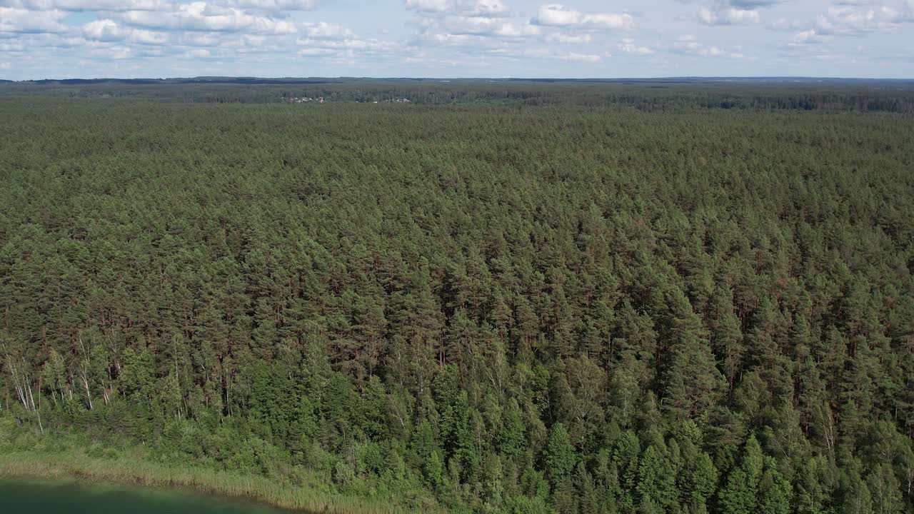 Serene aerial view of Gelo Lake and lush forest near Vilnius, Lithuania