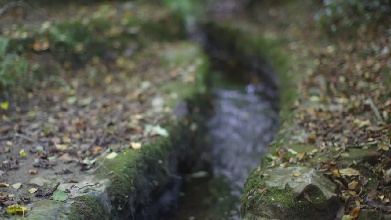 pequeño arroyo que fluye