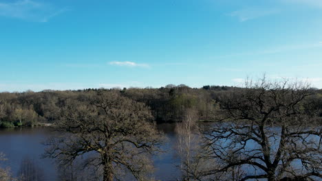 Luftaufnahmen-Von-Einem-See-Mit-Einer-Drohne,-Die-Den-Virginia-Water-Lake-Hochschwenkt