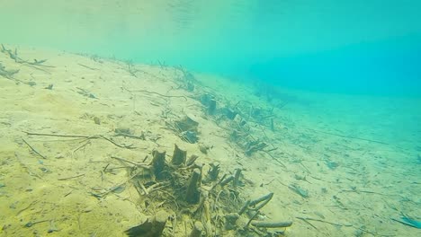 river-bottom-view-with-clear-blue-water-at-day