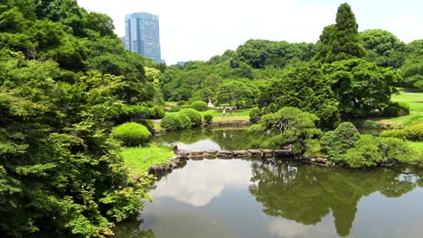 the view of the lake with peoples and tree reflection in shinjuku gyoen national garden