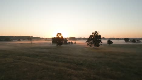 misty sunrise over a field