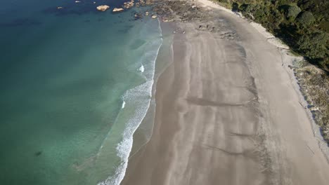 mar azul claro y turquesa en la playa de anchor bay, atracción turística en el parque regional tawharanui en nueva zelanda