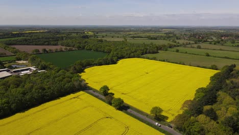 imágenes aéreas que miran sobre el campo de lincolnshire con vistas a través de campos de colza de semilla de aceite o cultivo de aceite de colza