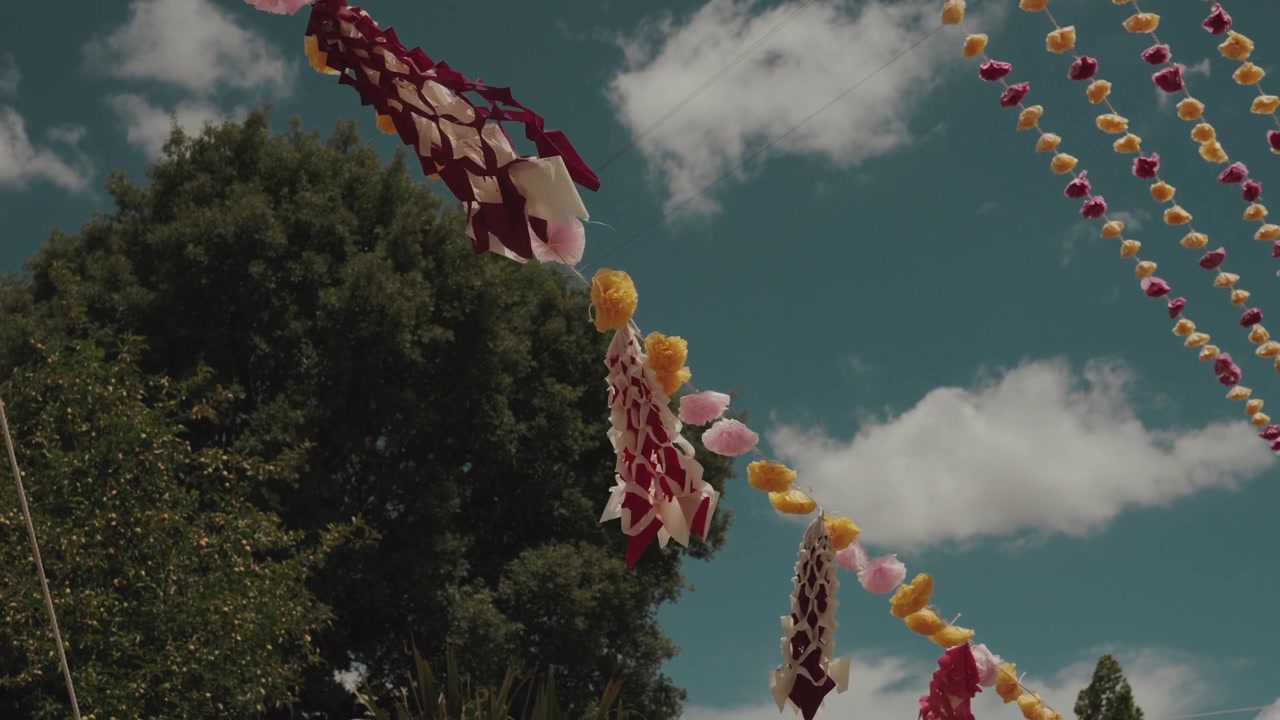 Festoni a rombi rossi e bianchi pendono accanto a fiori a pompon sopra le cime degli alberi contro il cielo durante un festival arraial