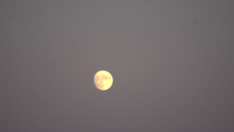 Luna-Llena-Iluminando-Los-Cielos-Nocturnos