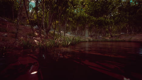 Pond-in-mossy-green-forest