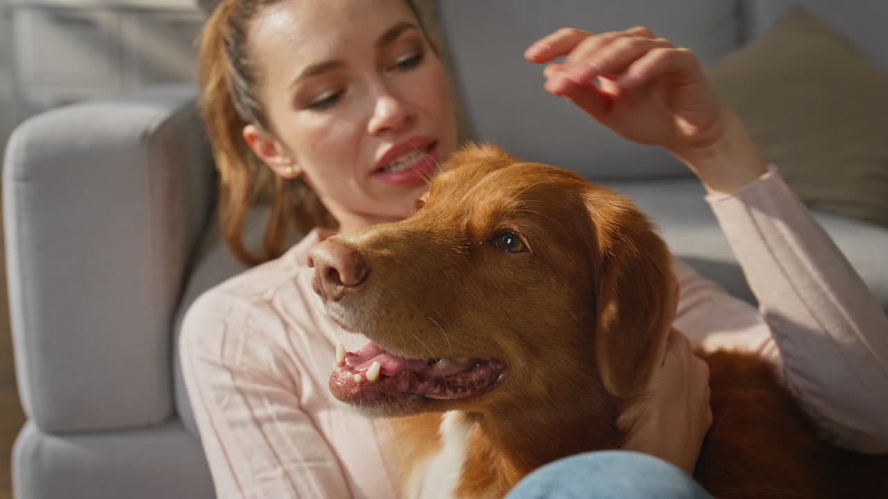 Carefree girl relaxing pet at home closeup. Caring beautiful woman caressing dog