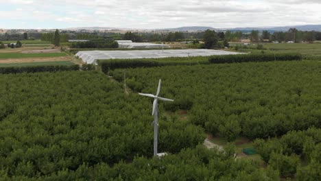SLOWMO---Aerial---New-Zealand-cherry-orchard-with-green-energy-windmills-and-mountains-in-background