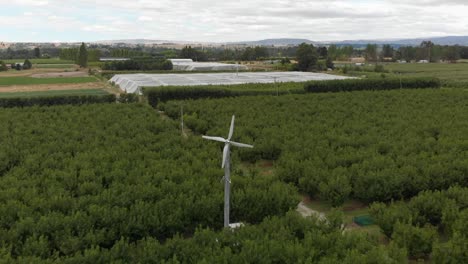 slowmo - aerial - new zealand cherry orchard with green energy windmills and mountains in background