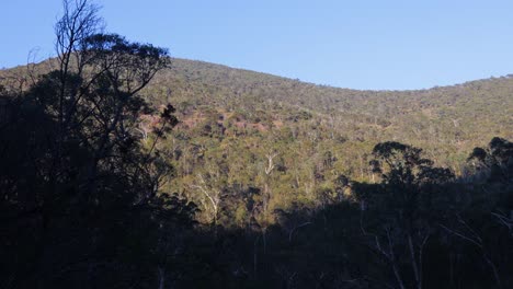 A-beautiful-shot-of-the-morning-sun-shining-on-a-mountain-the-Victorian-high-country