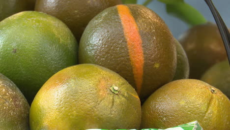 close-up of oranges