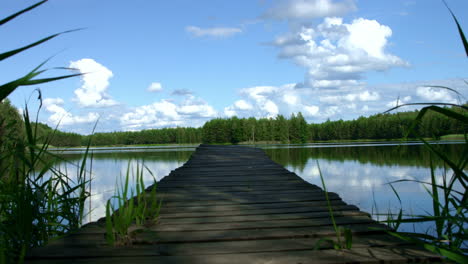 lago de bosque y plataforma de madera que entra en el lago. muelle de madera por estanque de bosque