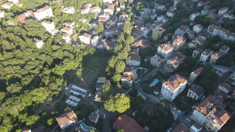 green trees between houses from the air