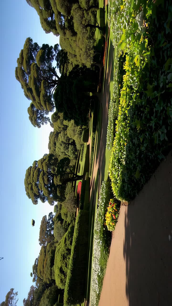 Formal Garden with Lush Greenery and Trees