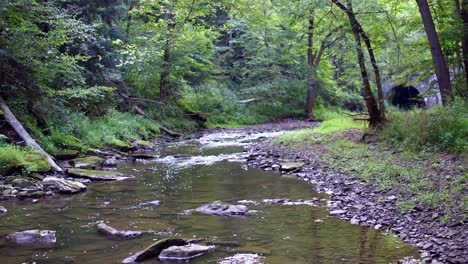 slow aerial drone shot over river and old stone bridge in forest