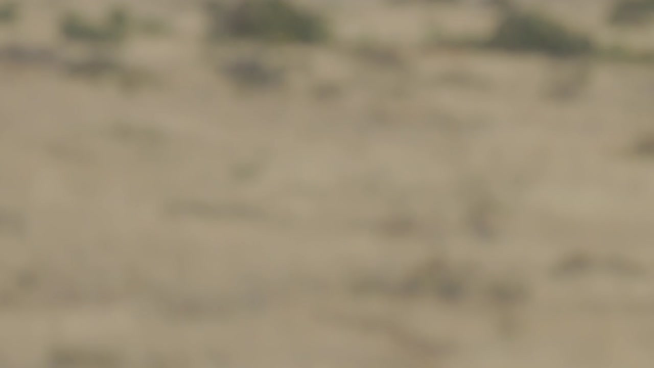 길 을 달리는 사람 의 얼굴 을 근접 히 찍는 것