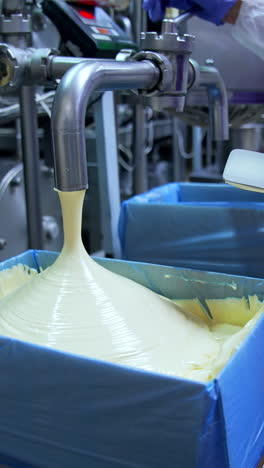 making butter on a dairy factory. industrial equipment at milk factory. worker on a dairy production plant. fresh smooth butter pouring from pipe into a box.. vertical video