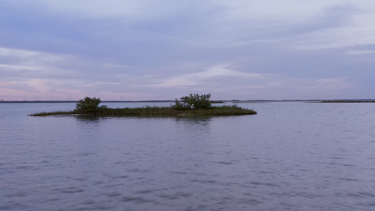 블루 헤론이 자고 있는데 내가 안전하게 날아가자 깨어났습니다