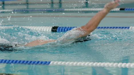 performing freestyle stroke, athlete swimming in pool during competition